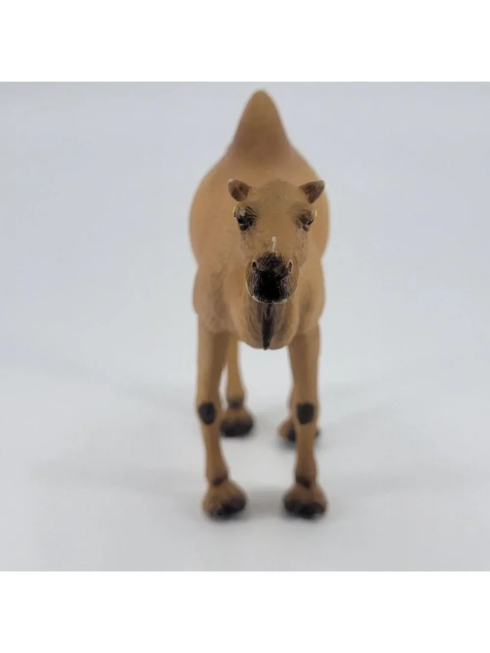 Mojo Arabian Camel Realistic Animal Figure Desert Safari